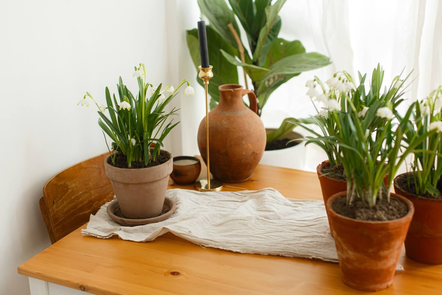 epv lifestyle photo2 2
